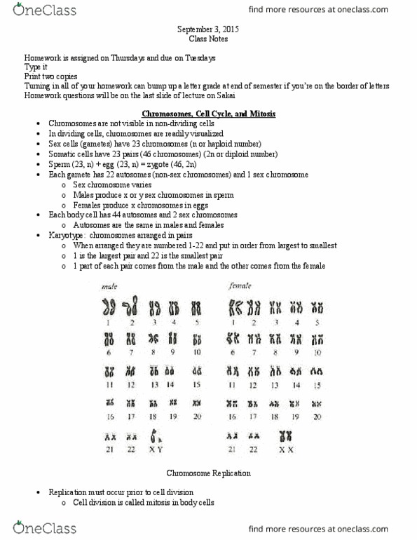 BISC105 Lecture Notes - Lecture 2: Karyotype, Cytoplasm, Telophase thumbnail