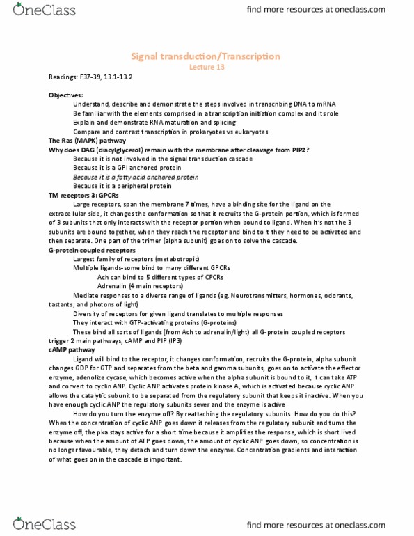BIO 1140 Lecture Notes - Lecture 13: Protein Isoform, Blood Sugar, Apoptosis thumbnail