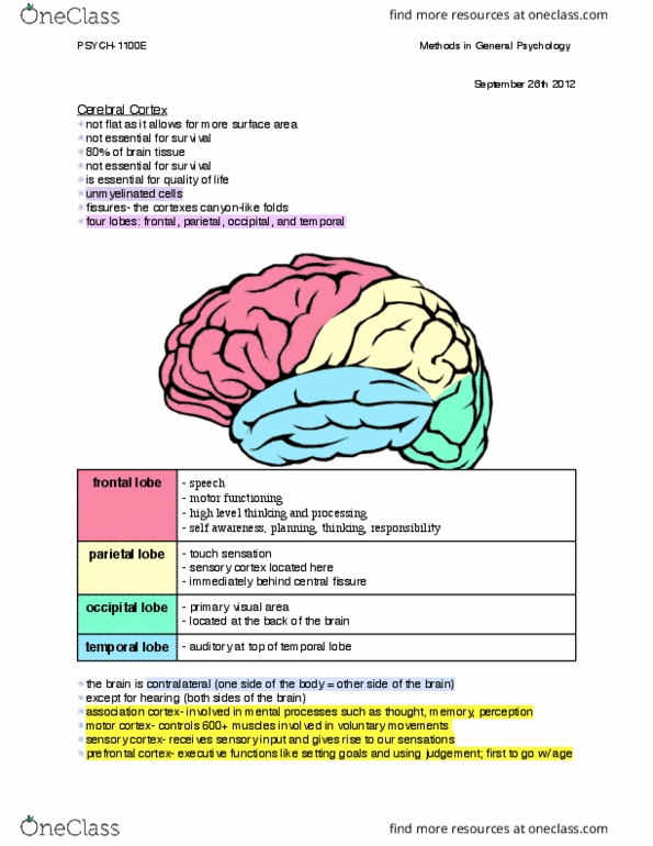 Psychology 1000 Lecture Notes - Lecture 5: Parietal Lobe, Temporal Lobe, Frontal Lobe thumbnail