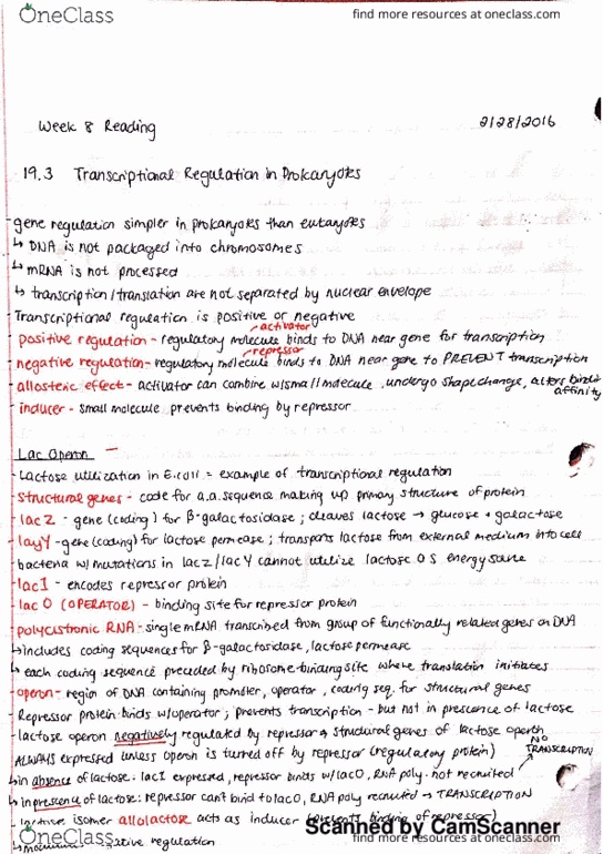 BIOL 112 Chapter 19: Gene Regulation, Lac and Mal Operons (chapter 19) thumbnail