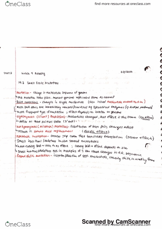 BIOL 112 Chapter 14: Small Scale Mutations (chapter 14) thumbnail