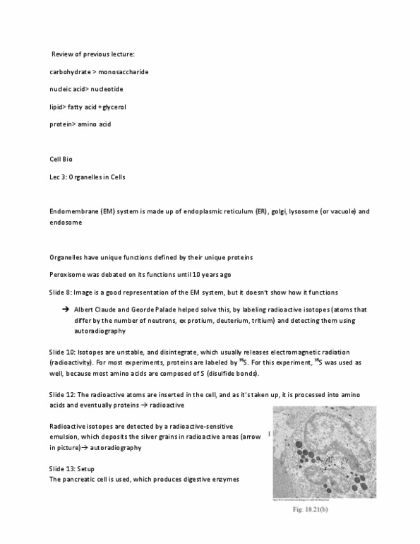 BIOB10Y3 Lecture Notes - Prolactin, Proteasome, Signal Peptidase thumbnail