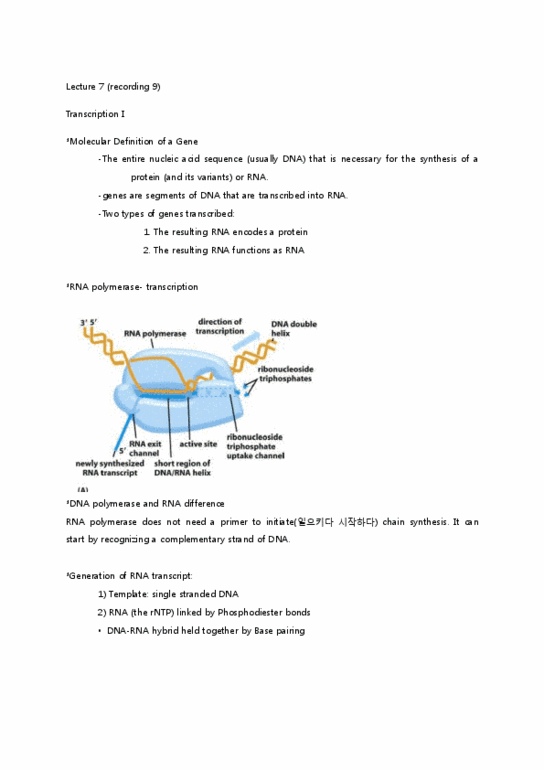 BIO130H1 Lecture Notes - Lecture 7: Helicase, Consensus Sequence, Regulatory Sequence thumbnail