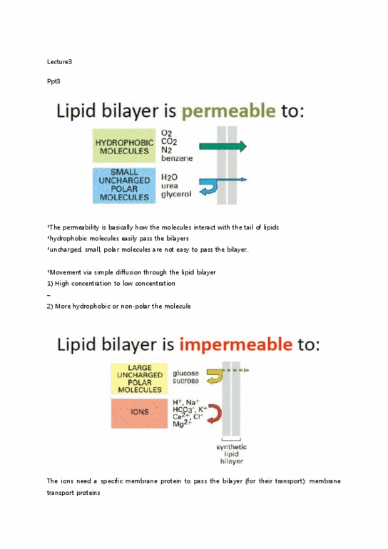 BIO130H1 Lecture Notes - Lecture 3: Cell Membrane, Lysosome, Cytosol thumbnail