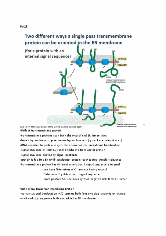 BIO130H1 Lecture Notes - Lecture 6: Antiporter, Osmosis, Nuclear Pore thumbnail