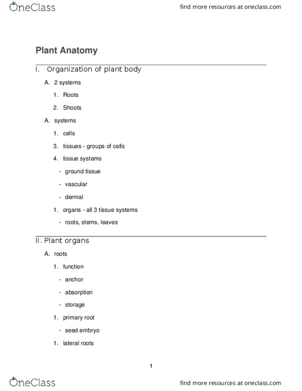 01:119:116 Lecture Notes - Lecture 9: Cell Wall, Ground Tissue, Taproot thumbnail