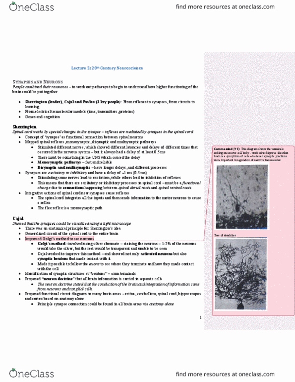 HMB200H1 Lecture Notes - Lecture 2: Sodium Channel, Central Nervous System, Neuron Doctrine thumbnail