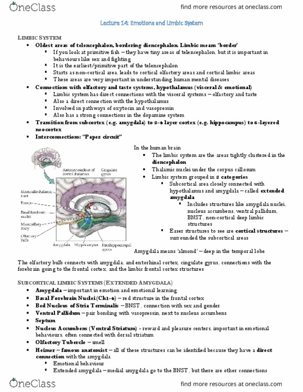 HMB200H1 Lecture Notes - Lecture 14: Temporal Lobe Epilepsy, Orbitofrontal Cortex, Insular Cortex thumbnail