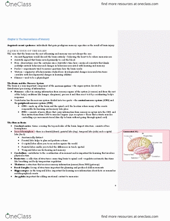 PSY260H1 Chapter Notes - Chapter 2: Postcentral Gyrus, Frontal Lobe, Parietal Lobe thumbnail