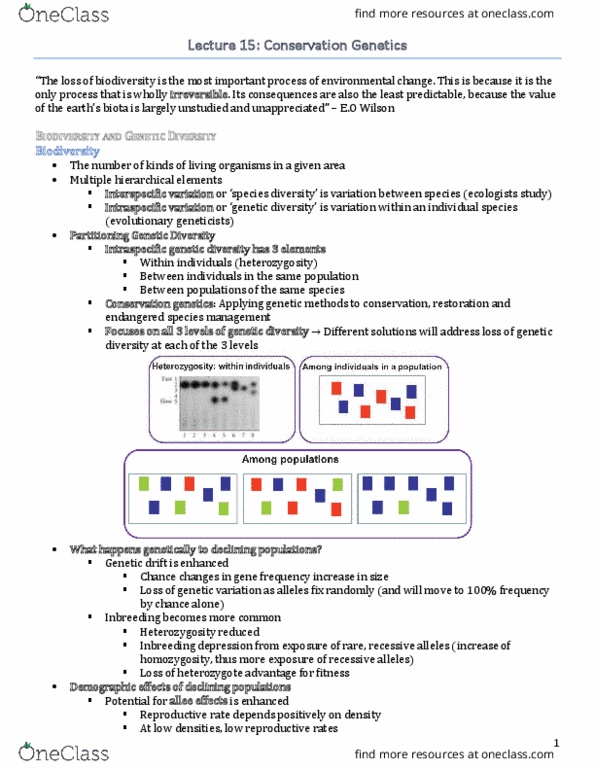 BIO220H1 Lecture Notes - Lecture 15: Inbreeding Depression, Extinction Vortex, Nucleotide Diversity thumbnail