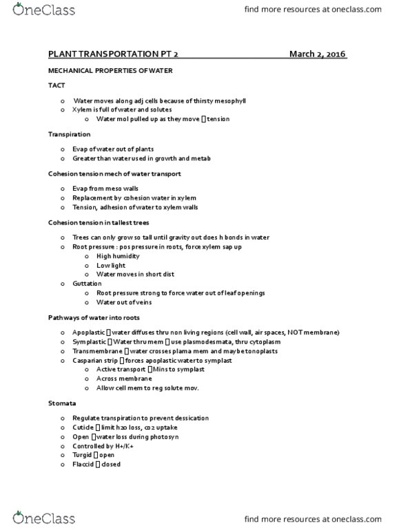 BI111 Lecture Notes - Lecture 23: Guttation, Leaf, Mecha thumbnail