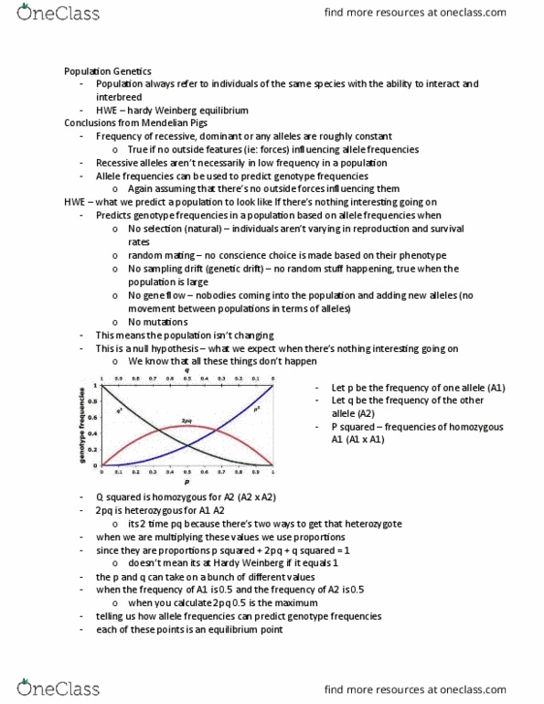 Biology 1201A Lecture Notes - Lecture 5: Allele Frequency, Population Genetics, Genotype Frequency thumbnail