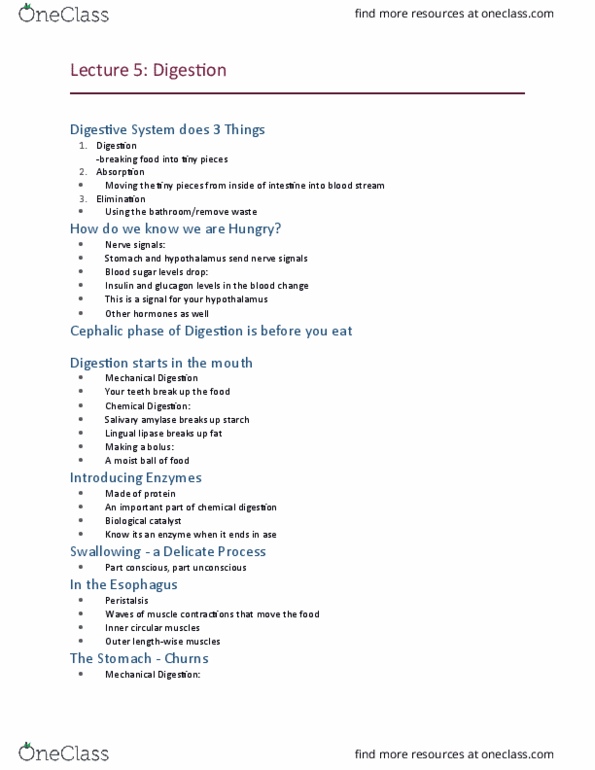 NUTR 1010 Lecture Notes - Lecture 5: Lingual Lipase, Blood Sugar, Peristalsis thumbnail