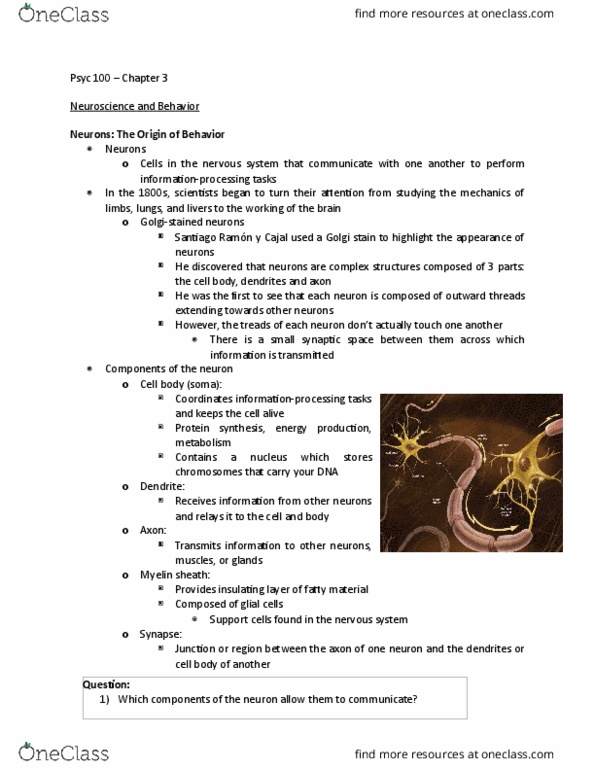 PSYC 100 Lecture Notes - Lecture 3: Central Nervous System, Parasympathetic Nervous System, Myelin thumbnail