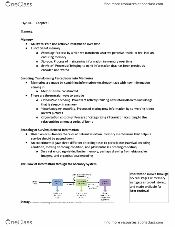 PSYC 100 Lecture Notes - Lecture 6: Encoding Specificity Principle, Long-Term Memory, Anterograde Amnesia thumbnail