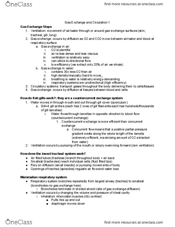 BISC 101 Lecture Notes - Lecture 17: Countercurrent Exchange, Gas Exchange, Intercostal Muscle thumbnail