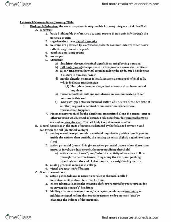 CAS PS 101 Lecture Notes - Lecture 4: Axon Terminal, Peripheral Nervous System, Brain Structure And Function thumbnail