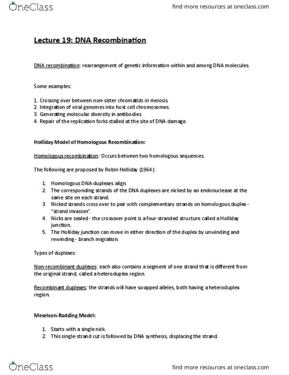 MBB 222 Lecture Notes - Lecture 19: Robin Holliday, Holliday Junction, Homologous Recombination thumbnail