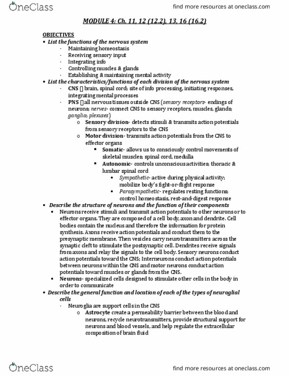 BPK 105 Lecture Notes - Lecture 4: Neuroglia, Ependyma, Schwann Cell thumbnail