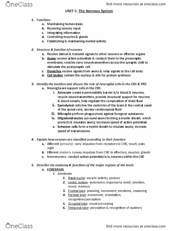 BPK 325 Lecture Notes - Lecture 5: Anterior Cranial Fossa, Medulla Oblongata, Arachnoid Mater thumbnail