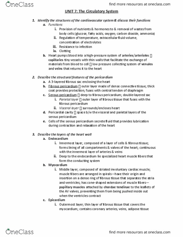 BPK 325 Lecture Notes - Lecture 7: Chordae Tendineae, Posterior Interventricular Sulcus, Posterior Interventricular Artery thumbnail