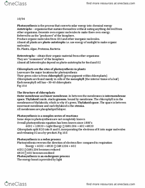 01:119:115 Lecture Notes - Lecture 5: Photosynthetic Pigment, Leaf, Intermembrane Space thumbnail