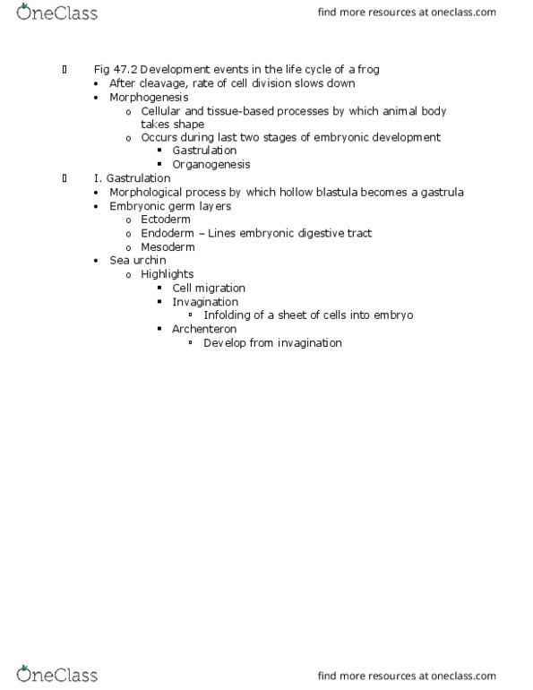 01:119:116 Lecture Notes - Lecture 17: Inner Cell Mass, Primitive Streak, Polarity In Embryogenesis thumbnail