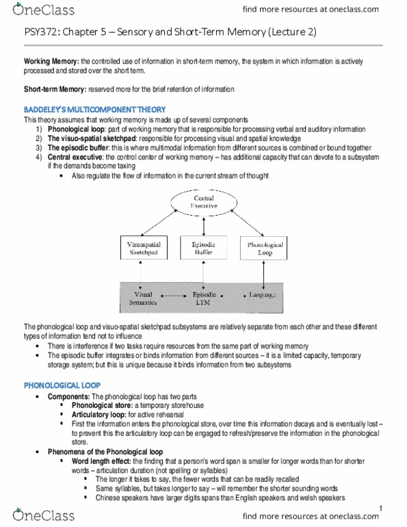 PSY372H1 Lecture Notes - Lecture 2: American Sign Language, Memory Span, Sketchpad thumbnail