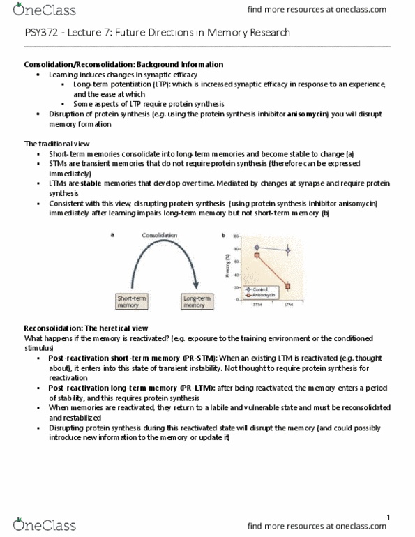 PSY372H1 Lecture Notes - Lecture 7: Protein Synthesis Inhibitor, Propranolol, Lisa Kudrow thumbnail