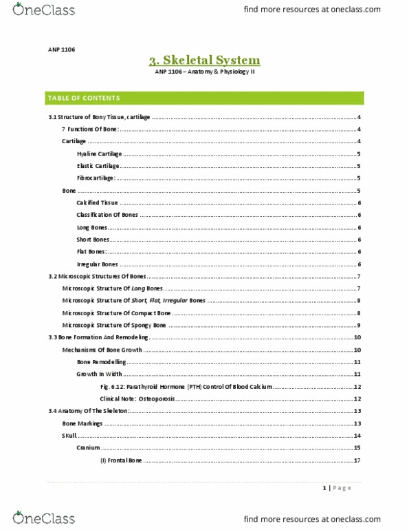 ANP 1106 Lecture 3: 3. Skeletal System thumbnail