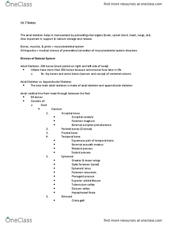 ANAT 101 Chapter Notes - Chapter 7: External Occipital Protuberance, Superior Orbital Fissure, Ear Canal thumbnail