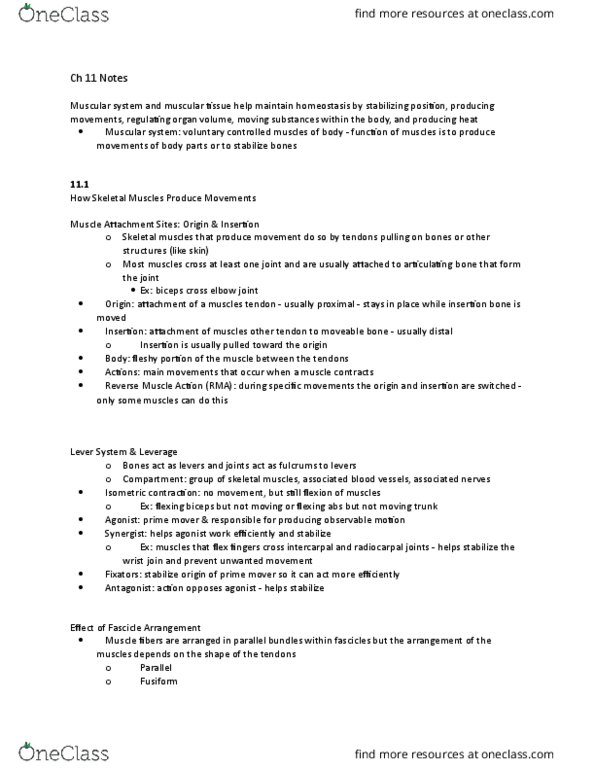 ANAT 101 Chapter Notes - Chapter 11: Epicranial Aponeurosis, Zygomatic Bone, Orbicularis Oris Muscle thumbnail