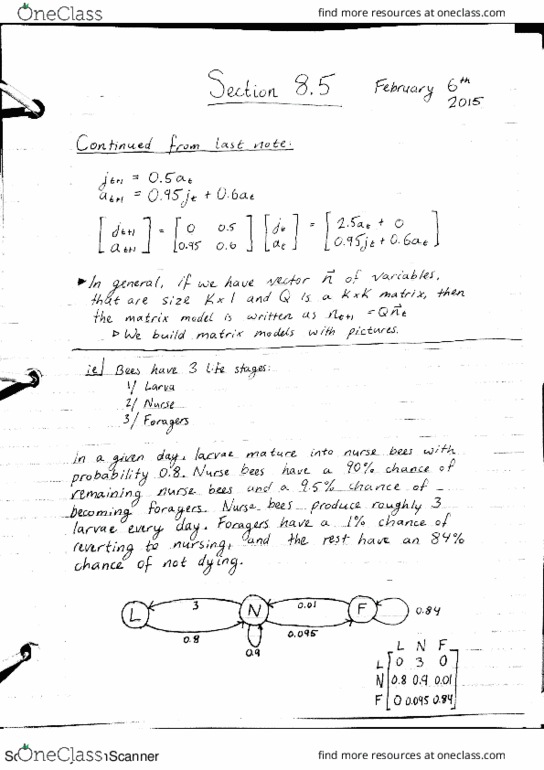 Applied Mathematics 1201A/B Lecture Notes - Lecture 14: Horse Length thumbnail