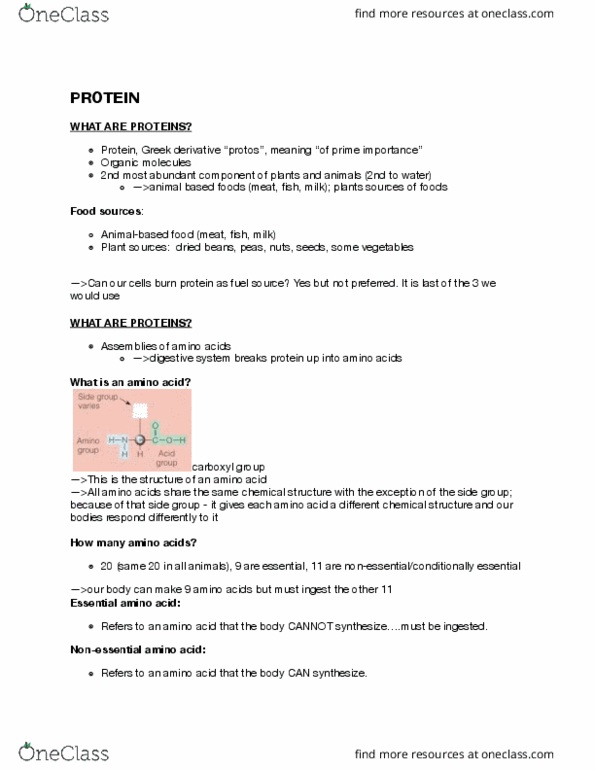 LIFESCI 2N03 Lecture Notes - Lecture 7: Essential Amino Acid, High-Protein Diet, Egg White thumbnail