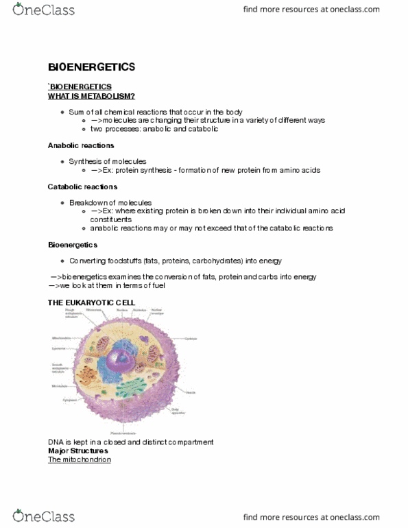 LIFESCI 2N03 Lecture Notes - Lecture 4: Phosphocreatine, Creatine Kinase, Essential Amino Acid thumbnail