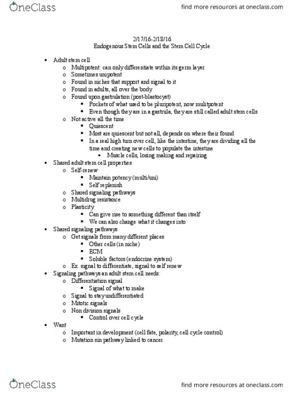 BIOL 2299 Lecture Notes - Lecture 2: Adult Stem Cell, Multiple Drug Resistance, Transdifferentiation thumbnail