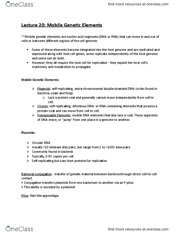 MBB 222 Lecture Notes - Lecture 20: Mobile Genetic Elements, Bacterial Conjugation, Base Pair thumbnail