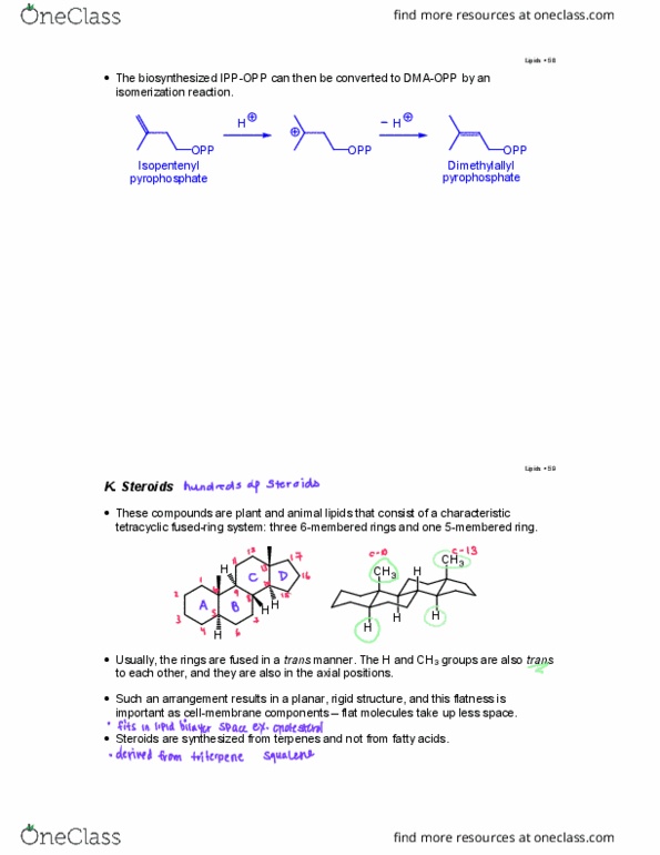 Chemistry 2223B Lecture Notes - Lecture 19: Dimethylallyl Pyrophosphate, Sodium Dodecylbenzenesulfonate, Lanosterol thumbnail