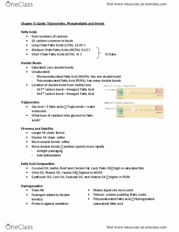 NTDT200 Lecture Notes - Lecture 3: High-Density Lipoprotein, Lipoprotein Lipase, Walnut Oil thumbnail