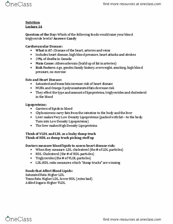 NUTR 1010 Lecture Notes - Lecture 14: Low-Density Lipoprotein, Very Low-Density Lipoprotein, Monounsaturated Fat thumbnail