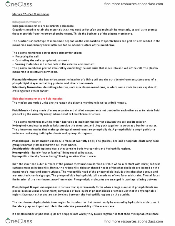 BI110 Chapter Notes - Chapter 17-22, 137: Integral Membrane Protein, Lipid Bilayer, Membrane Transport thumbnail