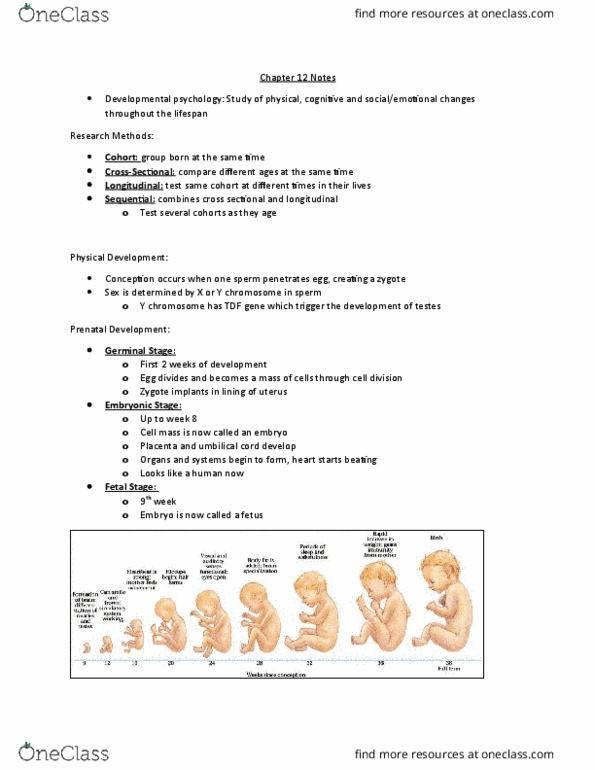 Psychology 1000 Chapter Notes - Chapter 12: Umbilical Cord, Y Chromosome, Imaginary Audience thumbnail