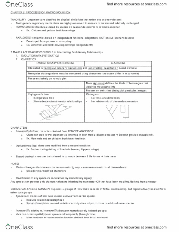 ANT 131 Chapter Notes - Chapter 5: Evolutionary Taxonomy, Ecological Niche, Phylogenetic Tree thumbnail