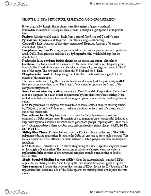 BIOL 1000 Chapter Notes - Chapter 12: Dna Polymerase, Dna Clamp, Helicase thumbnail