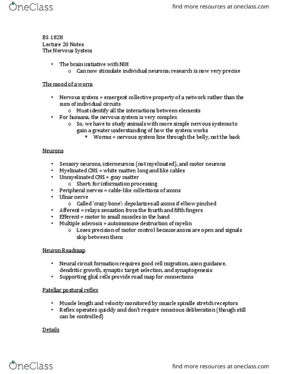 BS 182H Lecture Notes - Lecture 20: Axon Hillock, Axon Guidance, Ulnar Nerve thumbnail