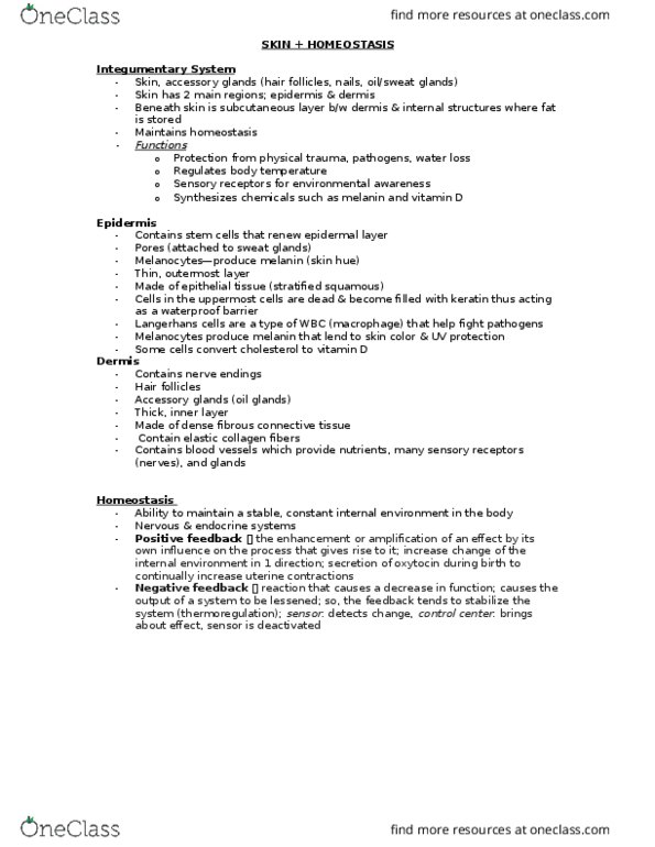 HSCI 100 Lecture Notes - Lecture 6: Major Trauma, Melanin, Dermis thumbnail