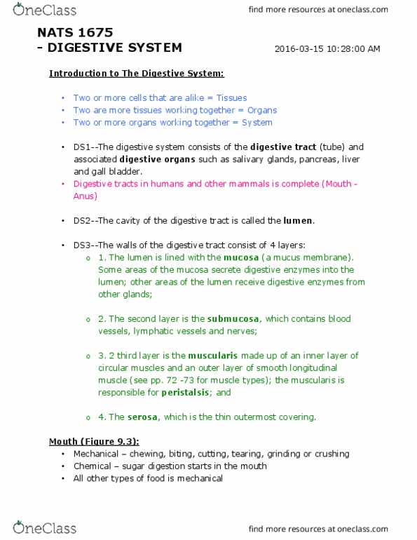 NATS 1675 Lecture Notes - Lecture 9: Esophagus, Gastric Pits, Gastric Glands thumbnail