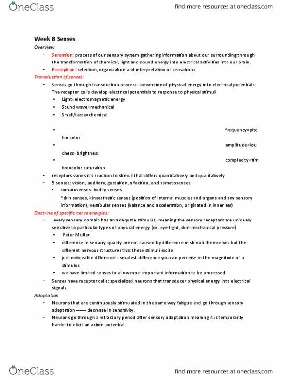 PSYC 100 Lecture Notes - Lecture 8: Light Cone, Color Vision, Optic Disc thumbnail