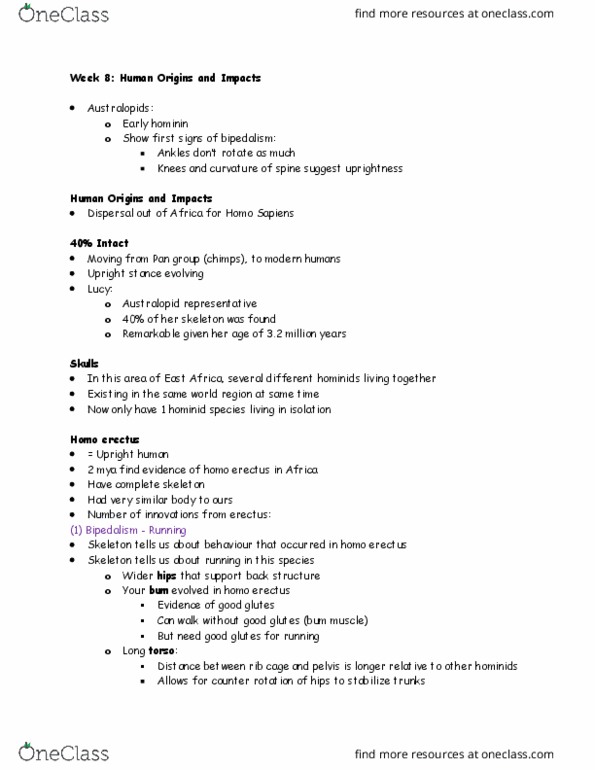 GGR305H1 Lecture Notes - Lecture 8: Human Taxonomy, Homo Erectus, Beringia thumbnail