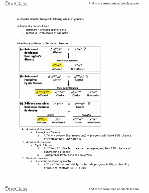 BIOL-UA 21 Lecture Notes - Lecture 15: Oculopharyngeal Muscular Dystrophy, Restriction Fragment Length Polymorphism, Archibald Garrod thumbnail